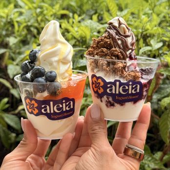 Two cups of Aleia homemade Greek frozen yogurt topped with blueberries, chocolate crumble, and drizzles